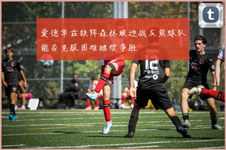 爱德华兹缺阵森林狼迎战灰熊球队能否克服困难继续争胜