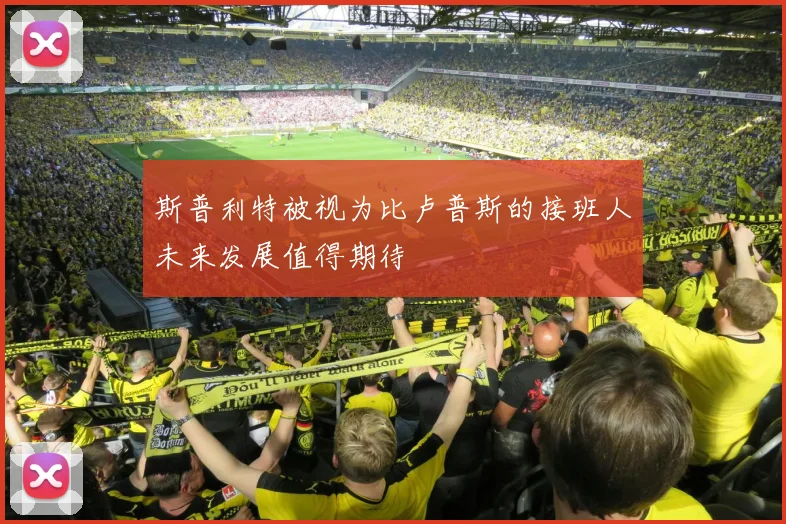 斯普利特被视为比卢普斯的接班人未来发展值得期待