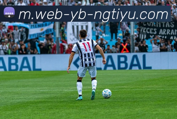 南宫体育平台生态图